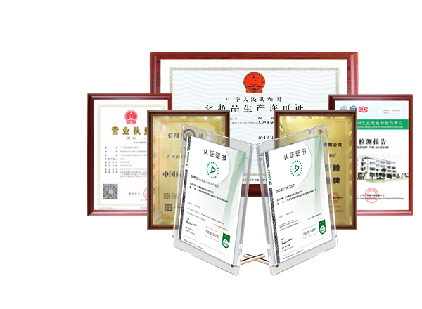 公司榮獲榮譽(yù)證書